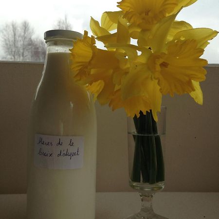 Saint-Sauveur-de-Carrouges Haras De La Croix D'Argent Bed & Breakfast エクステリア 写真
