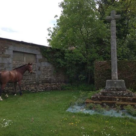 Saint-Sauveur-de-Carrouges Haras De La Croix D'Argent Bed & Breakfast エクステリア 写真
