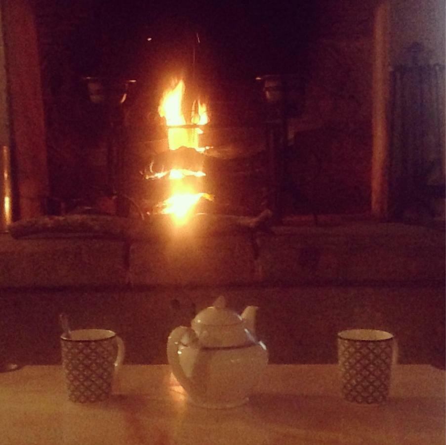Saint-Sauveur-de-Carrouges Haras De La Croix D'Argent Bed & Breakfast エクステリア 写真