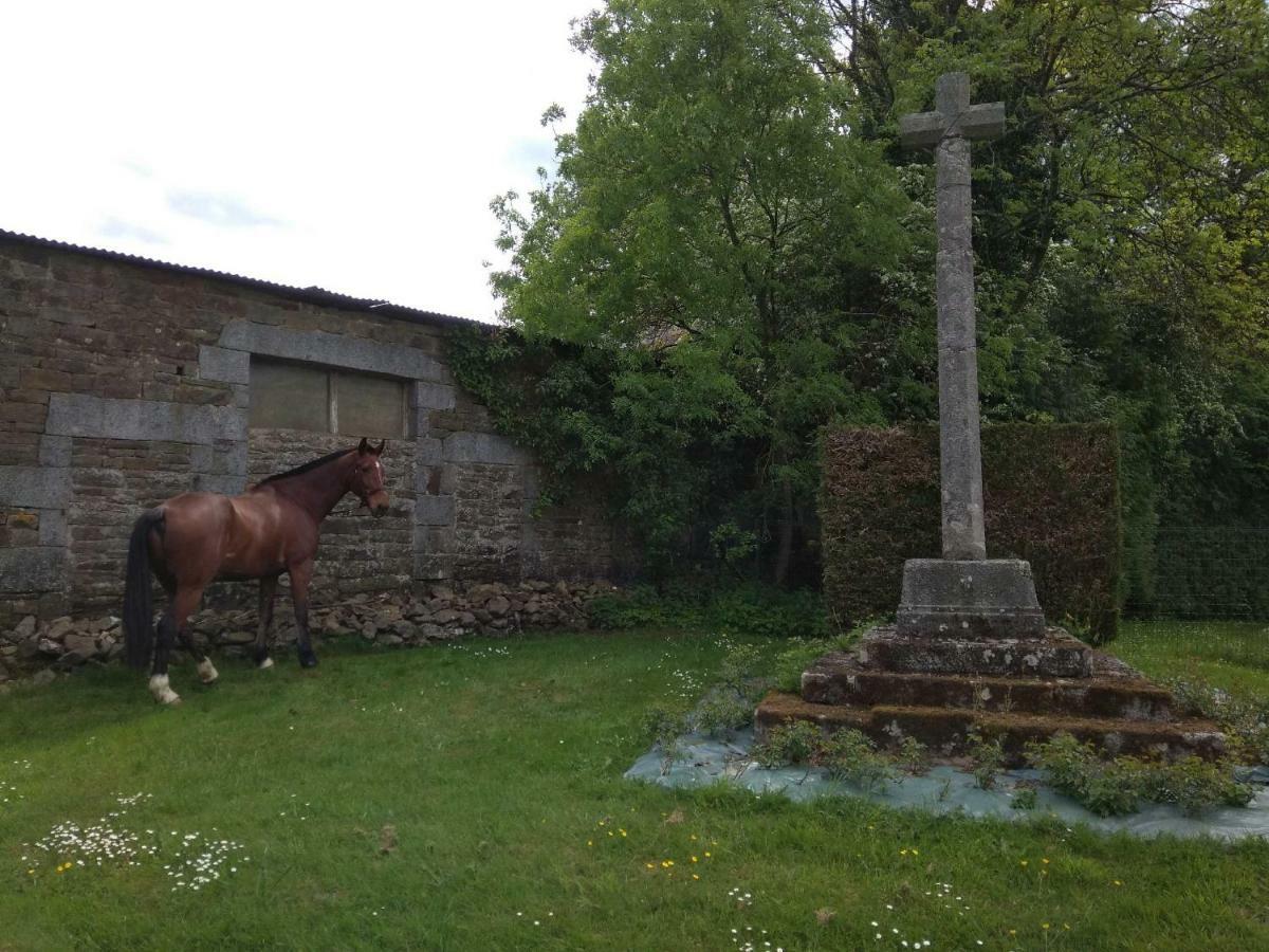 Saint-Sauveur-de-Carrouges Haras De La Croix D'Argent Bed & Breakfast エクステリア 写真