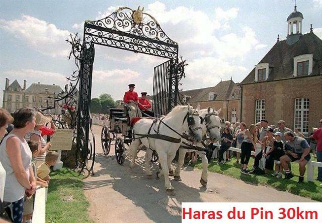 Saint-Sauveur-de-Carrouges Haras De La Croix D'Argent Bed & Breakfast エクステリア 写真