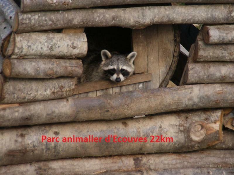 Saint-Sauveur-de-Carrouges Haras De La Croix D'Argent Bed & Breakfast エクステリア 写真