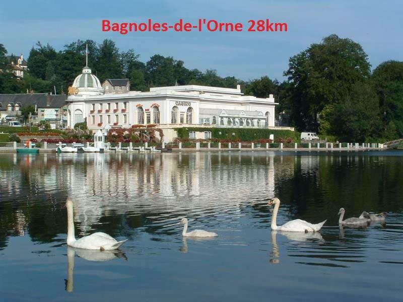 Saint-Sauveur-de-Carrouges Haras De La Croix D'Argent Bed & Breakfast エクステリア 写真