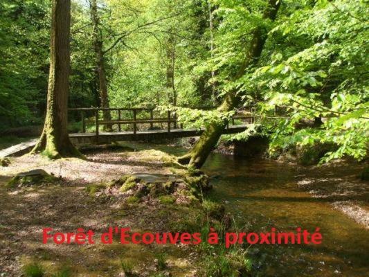 Saint-Sauveur-de-Carrouges Haras De La Croix D'Argent Bed & Breakfast エクステリア 写真